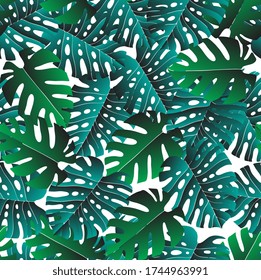 Seamless tropical pattern. Monstera Leaves-04