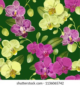 Patrón tropical sin foco con flores de orquídeas. Fondo floral para tela textil, tapiz, envuelto. Diseño de flores acuáticas. Ilustración del vector