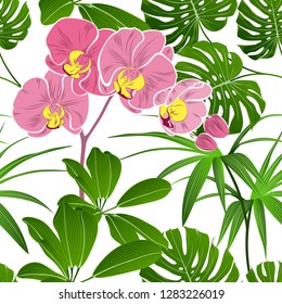 Patrón tropical sin foco con flores orquídeas y hojas exóticas verdes.