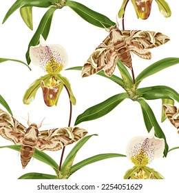 Seamless tropical pattern with paphiopedilum orchid, or Venus slipper orchid and moth, butterfly, exotic insect. Stock vector illustration on a white background.
