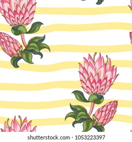 Seamless tropical pattern with pink proteus flowers and yellow stripes. Endless geometric background with protea. Perfect for wrapping paper, wallpaper, textile, scrapbooking etc. 