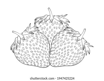 seamless tropical pattern with strawberry. Strawberry hand drawn outline doodle icon. Vector badge fruit in the old ink style for brochures, banner, restaurant menu and market