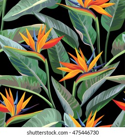 Seamless tropical pattern with strelitzia. Vector illustration.