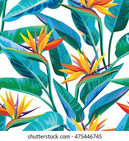 Seamless tropical pattern with strelitzia. Vector illustration.