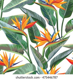 Seamless tropical pattern with strelitzia. Vector illustration.