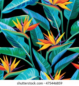 Seamless tropical pattern with strelitzia. Vector illustration.