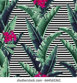 Seamless tropical pattern with stripes. Leaves palm tree illustration. Modern graphics. Plumeria flowers.