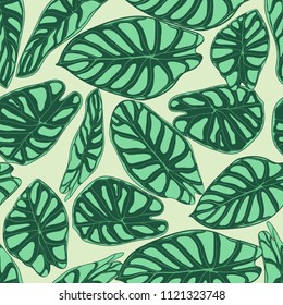 Seamless Tropical Pattern. Trendy Background with Rain Forest Plants. Vector Leaf of Alocasia. Green Araceae. Handwritten Jungle Foliage in Watercolor Style. Seamless Exotic Pattern for Tile, Fabric.