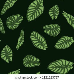 Seamless Tropical Pattern. Trendy Background with Rain Forest Plants. Vector Leaf of Alocasia. Araceae. Handwritten Jungle Foliage in Watercolor Style. Seamless Exotic Pattern for Textile, Fabric.