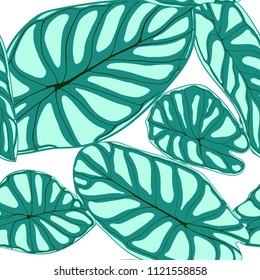 Seamless Tropical Pattern. Trendy Background with Rain Forest Plants. Vector Leaf of Alocasia. Araceae. Handwritten Jungle Foliage in Watercolor Style. Seamless Exotic Pattern for Textile, Fabric.
