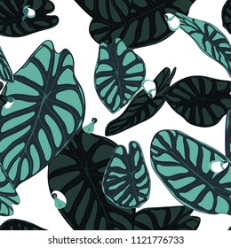 Seamless Tropical Pattern. Trendy Background with Rain Forest Plants. Vector Leaf of Alocasia. Araceae. Handwritten Jungle Foliage in Watercolor Style. Seamless Exotic Pattern for Textile, Fabric.
