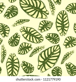 Seamless Tropical Pattern. Trendy Background with Rain Forest Plants. Vector Leaf of Alocasia. Araceae. Handwritten Jungle Foliage in Watercolor Style. Seamless Exotic Pattern for Textile, Fabric.