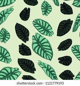 Seamless Tropical Pattern. Trendy Background with Rain Forest Plants. Vector Leaf of Alocasia. Green Araceae. Handwritten Jungle Foliage in Watercolor Style. Seamless Exotic Pattern for Tile, Fabric.