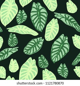 Seamless Tropical Pattern. Trendy Background with Rain Forest Plants. Vector Leaf of Alocasia. Araceae. Handwritten Jungle Foliage in Watercolor Style. Seamless Exotic Pattern for Textile, Fabric.