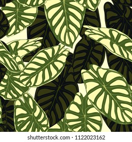 Seamless Tropical Pattern. Trendy Background with Rain Forest Plants. Vector Leaf of Alocasia. Araceae. Handwritten Jungle Foliage in Watercolor Style. Seamless Exotic Pattern for Textile, Fabric.