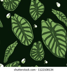 Seamless Tropical Pattern. Trendy Background with Rain Forest Plants. Vector Leaf of Alocasia. Araceae. Handwritten Jungle Foliage in Watercolor Style. Seamless Exotic Pattern for Textile, Fabric.