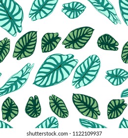 Seamless Tropical Pattern. Trendy Background with Rain Forest Plants. Vector Leaf of Alocasia. Araceae. Handwritten Jungle Foliage in Watercolor Style. Seamless Exotic Pattern for Textile, Fabric.
