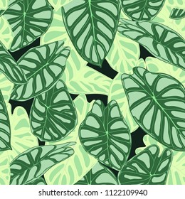 Seamless Tropical Pattern. Trendy Background with Rain Forest Plants. Vector Leaf of Alocasia. Araceae. Handwritten Jungle Foliage in Watercolor Style. Seamless Exotic Pattern for Textile, Fabric.