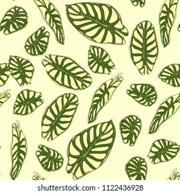 Seamless Tropical Pattern. Trendy Background with Rain Forest Plants. Vector Leaf of Alocasia. Araceae. Handwritten Jungle Foliage in Watercolor Style. Seamless Exotic Pattern for Textile, Fabric.