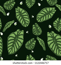 Seamless Tropical Pattern. Trendy Background with Rain Forest Plants. Vector Leaf of Alocasia. Araceae. Handwritten Jungle Foliage in Watercolor Style. Seamless Exotic Pattern for Textile, Fabric.