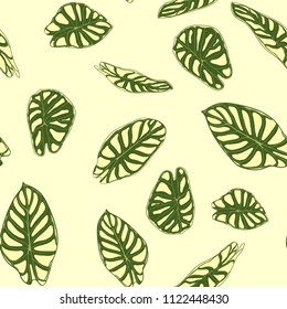Seamless Tropical Pattern. Trendy Background with Rain Forest Plants. Vector Leaf of Alocasia. Araceae. Handwritten Jungle Foliage in Watercolor Style. Seamless Exotic Pattern for Textile, Fabric.