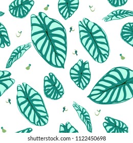 Seamless Tropical Pattern. Trendy Background with Rain Forest Plants. Vector Leaf of Alocasia. Araceae. Handwritten Jungle Foliage in Watercolor Style. Seamless Exotic Pattern for Textile, Fabric.