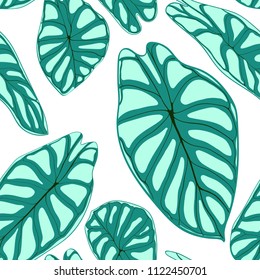Seamless Tropical Pattern. Trendy Background with Rain Forest Plants. Vector Leaf of Alocasia. Araceae. Handwritten Jungle Foliage in Watercolor Style. Seamless Exotic Pattern for Textile, Fabric.