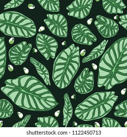 Seamless Tropical Pattern. Trendy Background with Rain Forest Plants. Vector Leaf of Alocasia. Araceae. Handwritten Jungle Foliage in Watercolor Style. Seamless Exotic Pattern for Textile, Fabric.