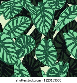 Seamless Tropical Pattern. Trendy Background with Rain Forest Plants. Vector Leaf of Alocasia. Green Araceae. Handwritten Jungle Foliage in Watercolor Style. Seamless Exotic Pattern for Tile, Fabric.