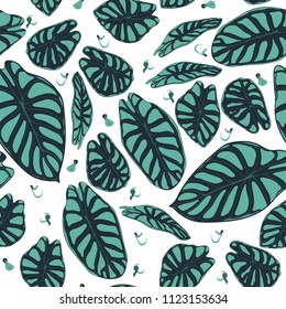 Seamless Tropical Pattern. Trendy Background with Rain Forest Plants. Vector Leaf of Alocasia. Araceae. Handwritten Jungle Foliage in Watercolor Style. Seamless Exotic Pattern for Textile, Fabric.