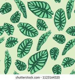 Seamless Tropical Pattern. Trendy Background with Rain Forest Plants. Vector Leaf of Alocasia. Green Araceae. Handwritten Jungle Foliage in Watercolor Style. Seamless Exotic Pattern for Tile, Fabric.