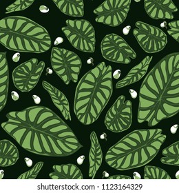 Seamless Tropical Pattern. Trendy Background with Rain Forest Plants. Vector Leaf of Alocasia. Araceae. Handwritten Jungle Foliage in Watercolor Style. Seamless Exotic Pattern for Textile, Fabric.