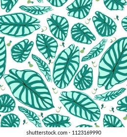 Seamless Tropical Pattern. Trendy Background with Rain Forest Plants. Vector Leaf of Alocasia. Araceae. Handwritten Jungle Foliage in Watercolor Style. Seamless Exotic Pattern for Textile, Fabric.