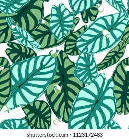 Seamless Tropical Pattern. Trendy Background with Rain Forest Plants. Vector Leaf of Alocasia. Araceae. Handwritten Jungle Foliage in Watercolor Style. Seamless Exotic Pattern for Textile, Fabric.