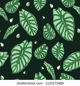 Seamless Tropical Pattern. Trendy Background with Rain Forest Plants. Vector Leaf of Alocasia. Araceae. Handwritten Jungle Foliage in Watercolor Style. Seamless Exotic Pattern for Textile, Fabric.
