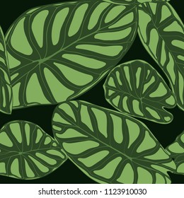 Seamless Tropical Pattern. Trendy Background with Rain Forest Plants. Vector Leaf of Alocasia. Araceae. Handwritten Jungle Foliage in Watercolor Style. Seamless Exotic Pattern for Textile, Fabric.