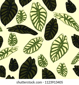 Seamless Tropical Pattern. Trendy Background with Rain Forest Plants. Vector Leaf of Alocasia. Araceae. Handwritten Jungle Foliage in Watercolor Style. Seamless Exotic Pattern for Textile, Fabric.