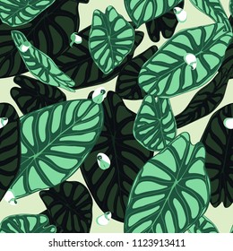 Seamless Tropical Pattern. Trendy Background with Rain Forest Plants. Vector Leaf of Alocasia. Green Araceae. Handwritten Jungle Foliage in Watercolor Style. Seamless Exotic Pattern for Tile, Fabric.