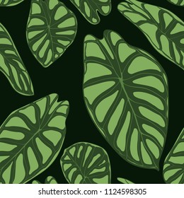 Seamless Tropical Pattern. Trendy Background with Rain Forest Plants. Vector Leaf of Alocasia. Araceae. Handwritten Jungle Foliage in Watercolor Style. Seamless Exotic Pattern for Textile, Fabric.