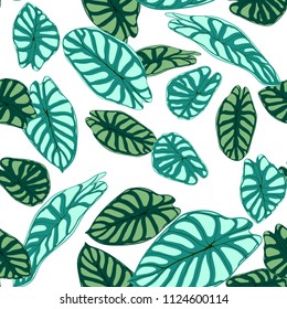 Seamless Tropical Pattern. Trendy Background with Rain Forest Plants. Vector Leaf of Alocasia. Araceae. Handwritten Jungle Foliage in Watercolor Style. Seamless Exotic Pattern for Textile, Fabric.