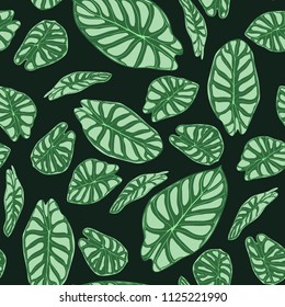 Seamless Tropical Pattern. Trendy Background with Rain Forest Plants. Vector Leaf of Alocasia. Araceae. Handwritten Jungle Foliage in Watercolor Style. Seamless Exotic Pattern for Textile, Fabric.