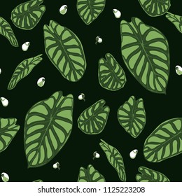 Seamless Tropical Pattern. Trendy Background with Rain Forest Plants. Vector Leaf of Alocasia. Araceae. Handwritten Jungle Foliage in Watercolor Style. Seamless Exotic Pattern for Textile, Fabric.