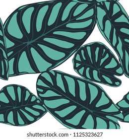 Seamless Tropical Pattern. Trendy Background with Rain Forest Plants. Vector Leaf of Alocasia. Araceae. Handwritten Jungle Foliage in Watercolor Style. Seamless Exotic Pattern for Textile, Fabric.