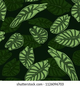 Seamless Tropical Pattern. Trendy Background with Rain Forest Plants. Vector Leaf of Alocasia. Araceae. Handwritten Jungle Foliage in Watercolor Style. Seamless Exotic Pattern for Textile, Fabric.