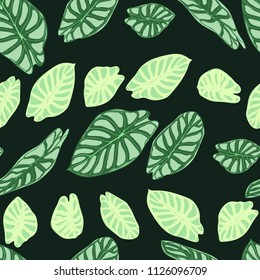 Seamless Tropical Pattern. Trendy Background with Rain Forest Plants. Vector Leaf of Alocasia. Araceae. Handwritten Jungle Foliage in Watercolor Style. Seamless Exotic Pattern for Textile, Fabric.