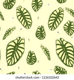 Seamless Tropical Pattern. Trendy Background with Rain Forest Plants. Vector Leaf of Alocasia. Araceae. Handwritten Jungle Foliage in Watercolor Style. Seamless Exotic Pattern for Textile, Fabric.