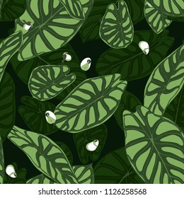 Seamless Tropical Pattern. Trendy Background with Rain Forest Plants. Vector Leaf of Alocasia. Araceae. Handwritten Jungle Foliage in Watercolor Style. Seamless Exotic Pattern for Textile, Fabric.