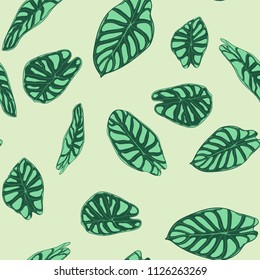 Seamless Tropical Pattern. Trendy Background with Rain Forest Plants. Vector Leaf of Alocasia. Green Araceae. Handwritten Jungle Foliage in Watercolor Style. Seamless Exotic Pattern for Tile, Fabric.