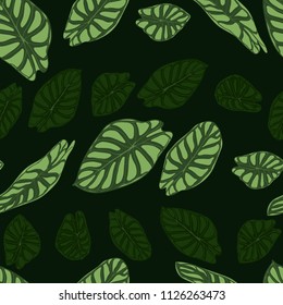 Seamless Tropical Pattern. Trendy Background with Rain Forest Plants. Vector Leaf of Alocasia. Araceae. Handwritten Jungle Foliage in Watercolor Style. Seamless Exotic Pattern for Textile, Fabric.