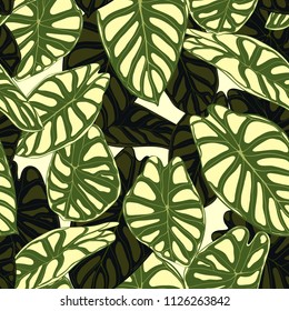 Seamless Tropical Pattern. Trendy Background with Rain Forest Plants. Vector Leaf of Alocasia. Araceae. Handwritten Jungle Foliage in Watercolor Style. Seamless Exotic Pattern for Textile, Fabric.